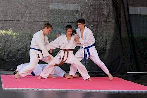 Válassz Sportot Újbudán! 2016 kép 26