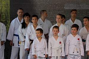 Válassz Sportot Újbudán! 2016 kép 10