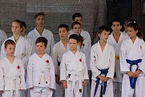 Válassz Sportot Újbudán! 2016 kép 11
