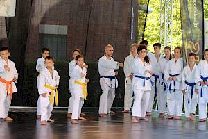 Válassz Sportot Újbudán! 2016 kép 14