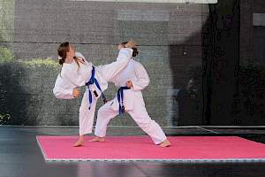 Válassz Sportot Újbudán! 2016 kép 19