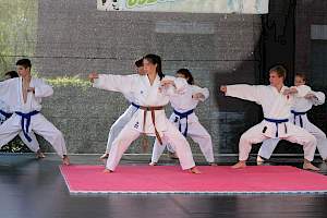 Válassz Sportot Újbudán! 2016 kép 24