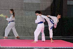Válassz Sportot Újbudán! 2016 kép 21