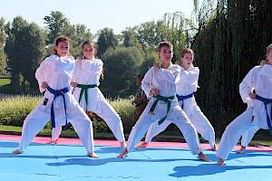 Válassz Sportot Újbudán! 2016 kép 30