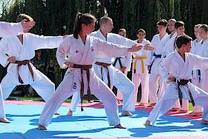 Válassz Sportot Újbudán! 2016 kép 40