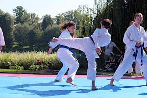Válassz Sportot Újbudán! 2016 kép 37