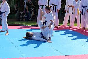 Válassz Sportot Újbudán! 2016 kép 39