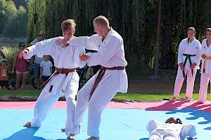 Válassz Sportot Újbudán! 2016 kép 41