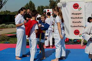 Válassz Sportot Újbudán! 2016 kép 66