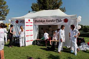 Válassz Sportot Újbudán! 2016 kép 75