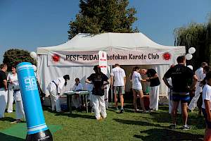 Válassz Sportot Újbudán! 2016 kép 81