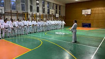 Shihan Kozma Erzsébetet 8. Dannal tüntette ki a Magyar Karate Szakszövetség, a születésnapján! kép 29