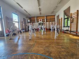 MSKSZ – „Pestbuda” 2025 Nyári Karate Edzőtábor és Övvizsga Beszámoló kép 38