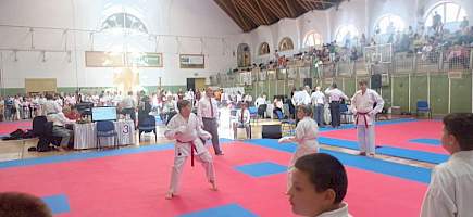 Éremeső és Sportszerű Küzdelmek a XI. Szerencsi Országos SKD-SKDUN Ippon-Shobu - Sensei Varga Csaba Emlékversenyen kép 10