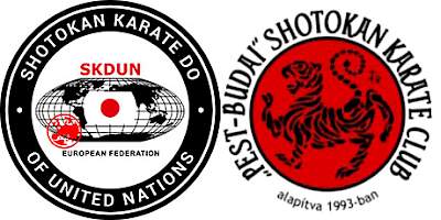 Fókuszban a Kitartás: Pestbudások a Bedzini SKDUN Ippon Shobu Világbajnokságon és Világkupán! kép 7