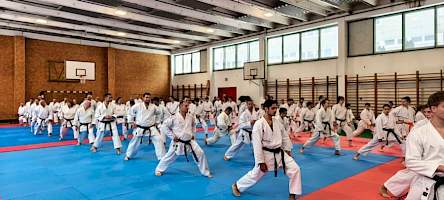 Pestbudások az SKDUN Egri Évnyitó Edzőtáborban kép 6