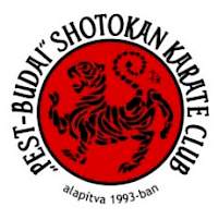 Két bronzéremmel gazdagodtunk az Ippon Shobu Diákolimpián! kép 5