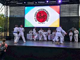 Eső, napsütés és fergeteges karate: Ilyen volt a Válassz Sportot Újbudán 2026! kép 20
