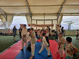 Eső, napsütés és fergeteges karate: Ilyen volt a Válassz Sportot Újbudán 2026! kép 24